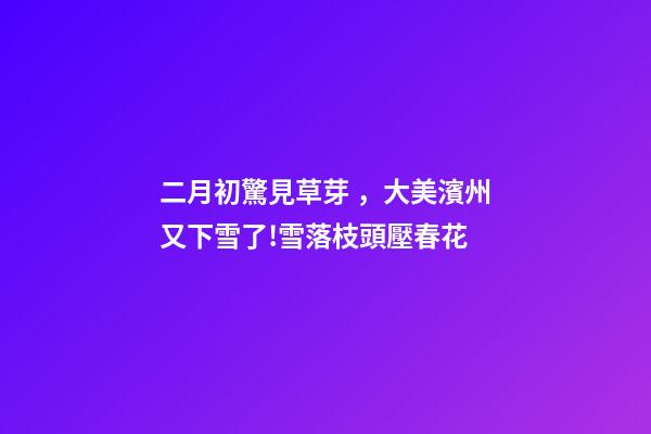 二月初驚見草芽，大美濱州又下雪了!雪落枝頭壓春花-第1張-觀點-玄機派